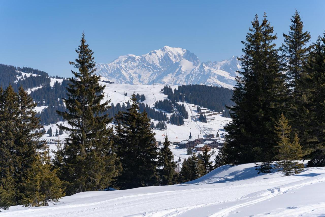 Les Saisies Appart 1 Chambre Au Pied Des Pistes المظهر الخارجي الصورة